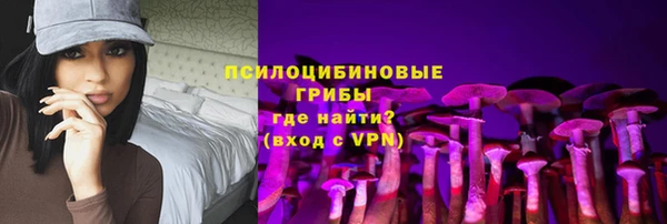 прущие грибы Абдулино