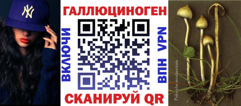 купить  цена  МЕГА ссылки  Псилоцибиновые грибы ЛСД  Шебекино 